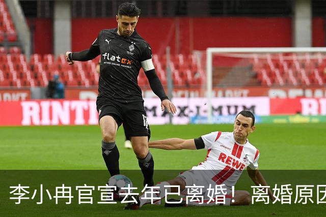 李小冉官宣去年已离婚！离婚原因有财务风险说和丁克说，前夫被执行2111万