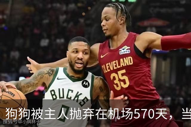 狗狗被主人抛弃在机场570天，当主人回来接它时，看哭了所有人